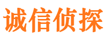 石家庄商务调查